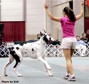 Suzzane Kelleher-Duckett