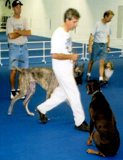 Gene and Cooper in Obedience