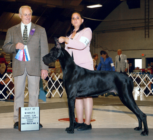 Sassy - Albert Lea, MN Freeborn Country K.C.