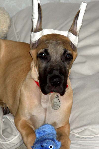 Are you looking at me?