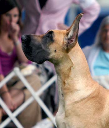 Tasha at the Specialty