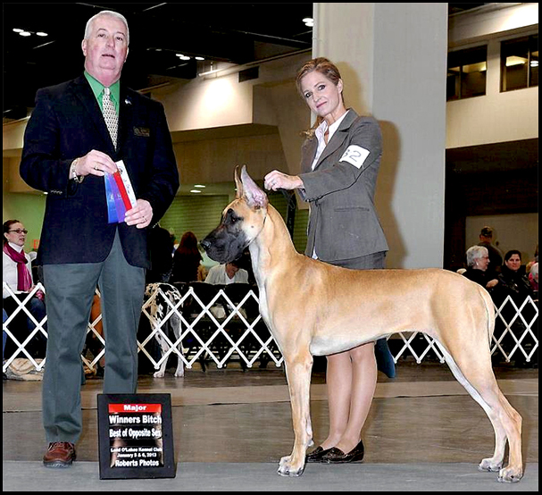 Nellie - Saturday 2013 LOL