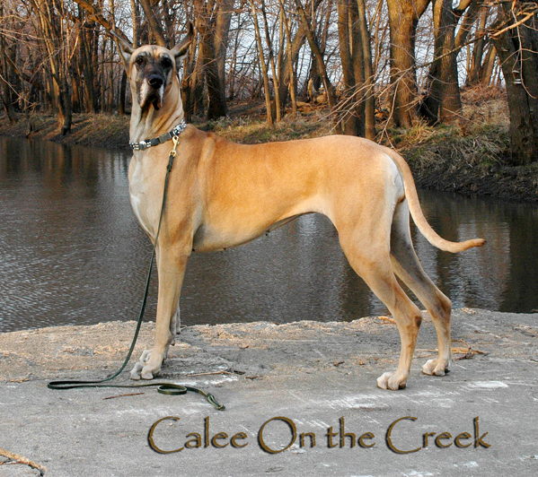 Calee on the Creek