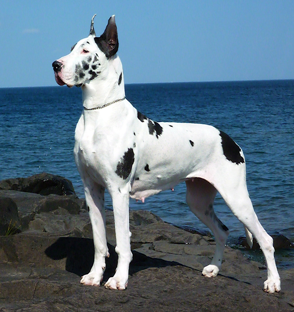 Kia - Lake Superior - July 2010