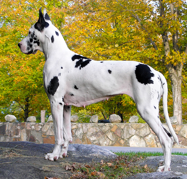 Kia - 2009 Chatanooga National trip