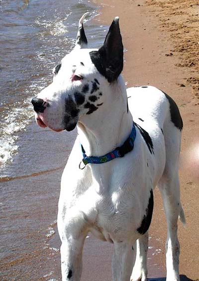 Kia on the beach in Duluth, MN - July 2009