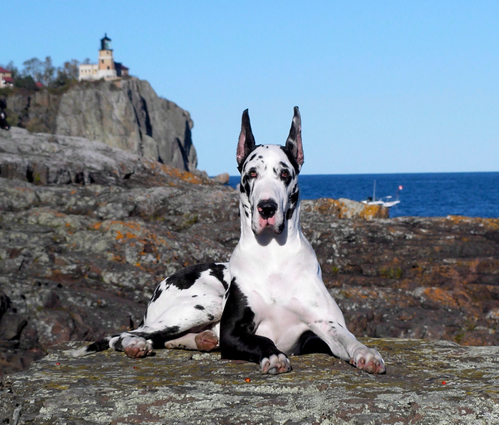 Piper at Split Rock