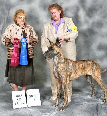 Akena - UKC Grand Champion