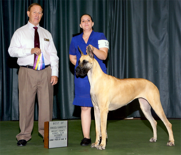 Jade - Winners Bitch - Hutchinson, MN Oct. 2010