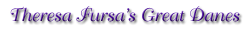 Theresa Fursa's Great Danes