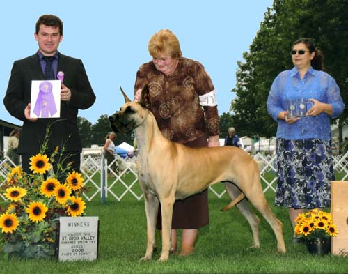 Dee - Sumner's Canon in D v Alpine