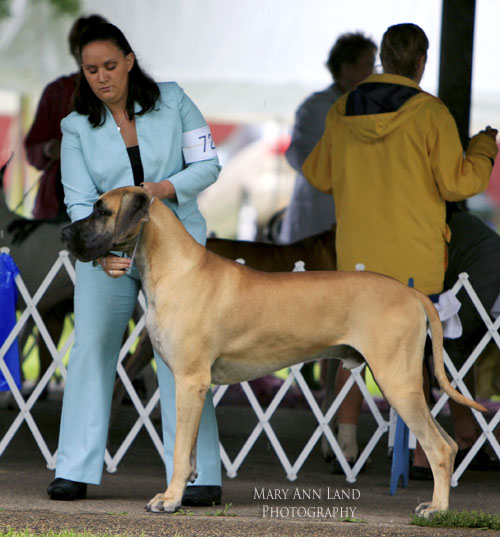 Max, Lamona's Taking It To Extremes