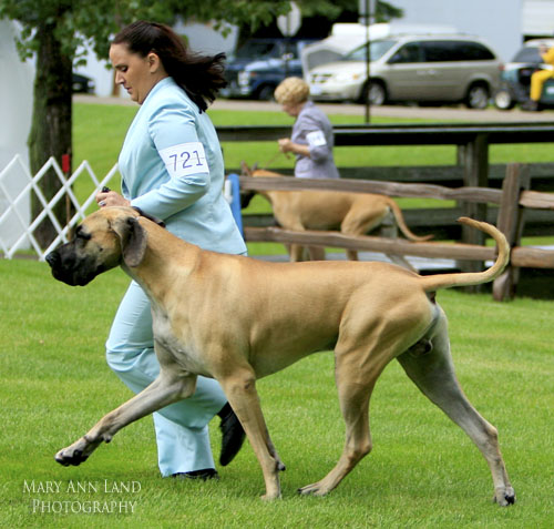 Max, Lamona's Taking It To Extremes