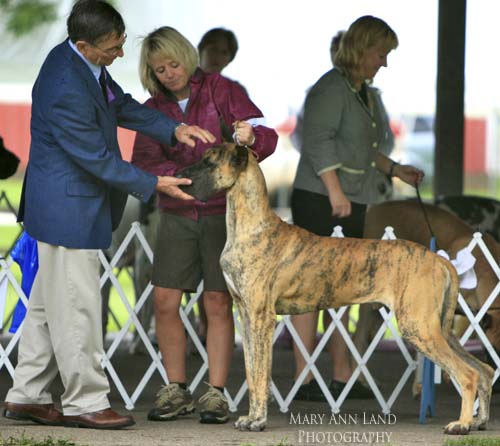 Booker, Rojon's Without Reservation