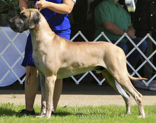 Max, Lamona's Taking It To Extremes