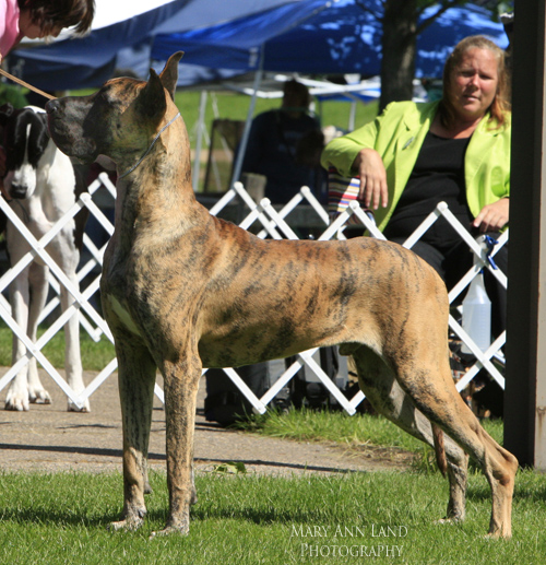 Booker, Rojon's Without Reservation