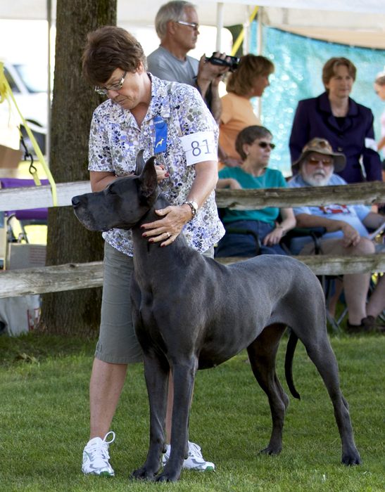 Creeks Perlwin Dharma's Back in Town