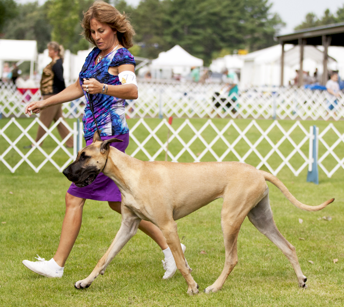 Divine Acres Shadow Caster Girl