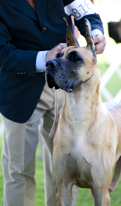 Nanlyn butterscotch Delight