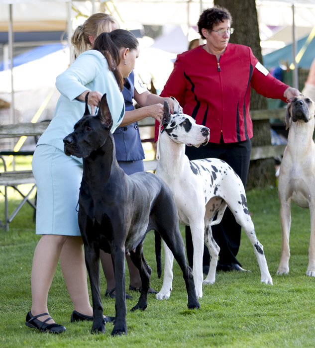 Winners Bitch Lineup