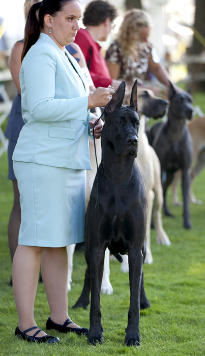 Sassy - Winners Bitch lineup