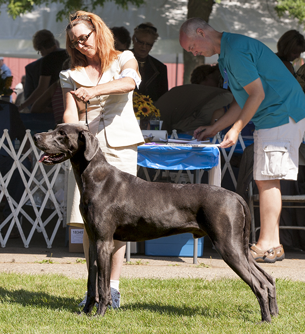 Sterling's Dewitt Out of This World v Dark Horse