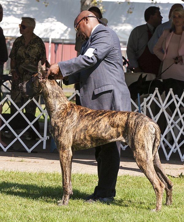 TLC's Mauck One At Dioladanes