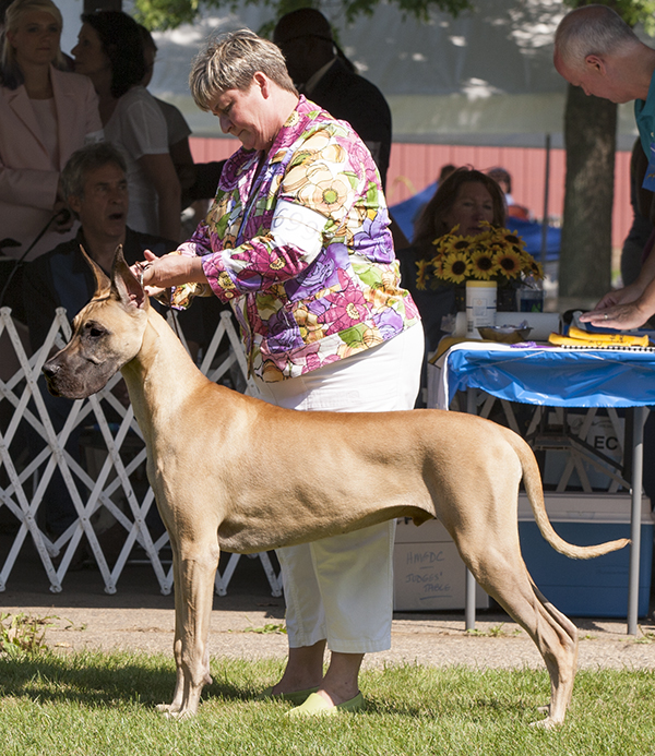 Strider N Leinenstone Navan