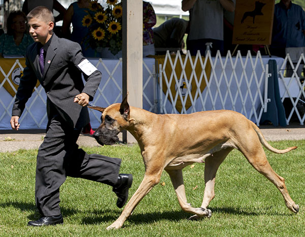 CH Summer Meadow-Spellbound's Bewitched
