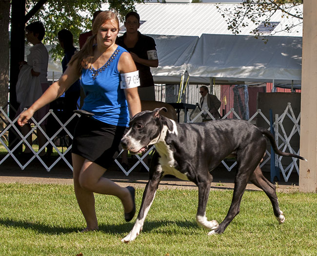 Chanoz Sweet Treat v Eye Candy