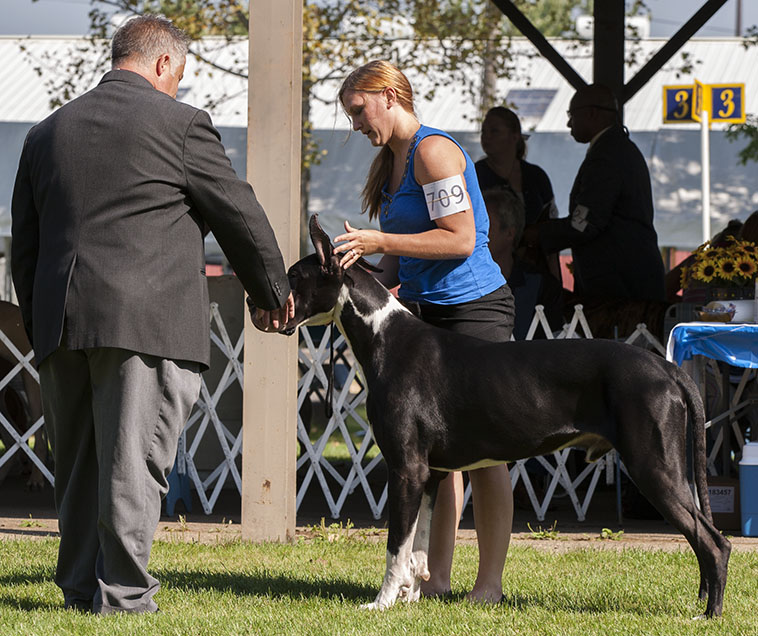 Chanoz Sweet Treat v Eye Candy