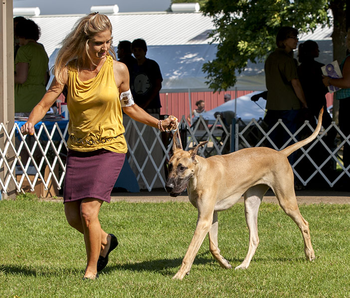 Divine Acres Georgie Girl