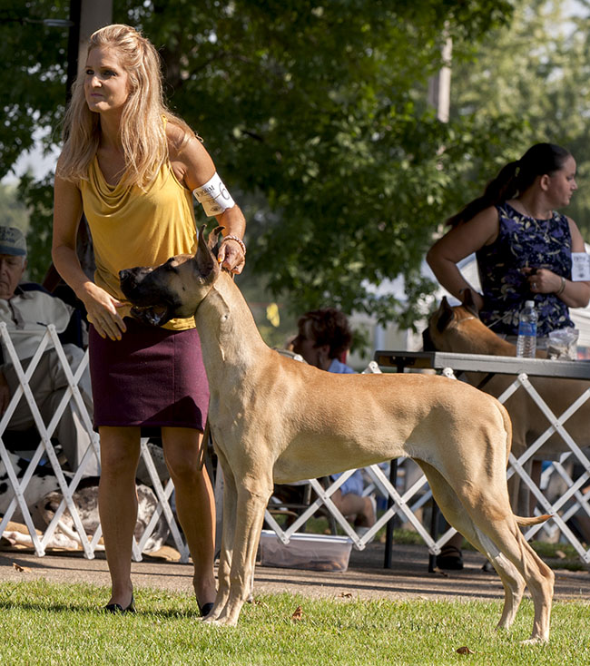 Divine Acres Georgie Girl