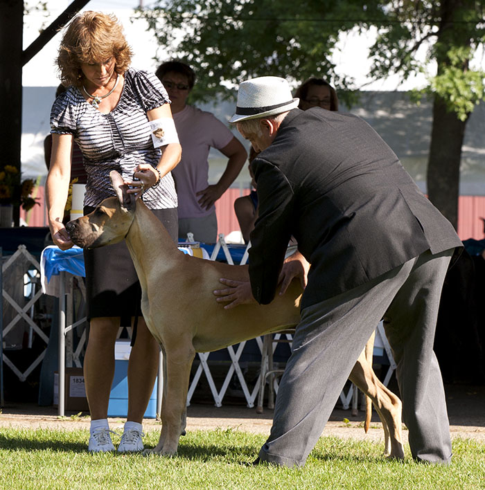 Divine Acres Travelin' Man