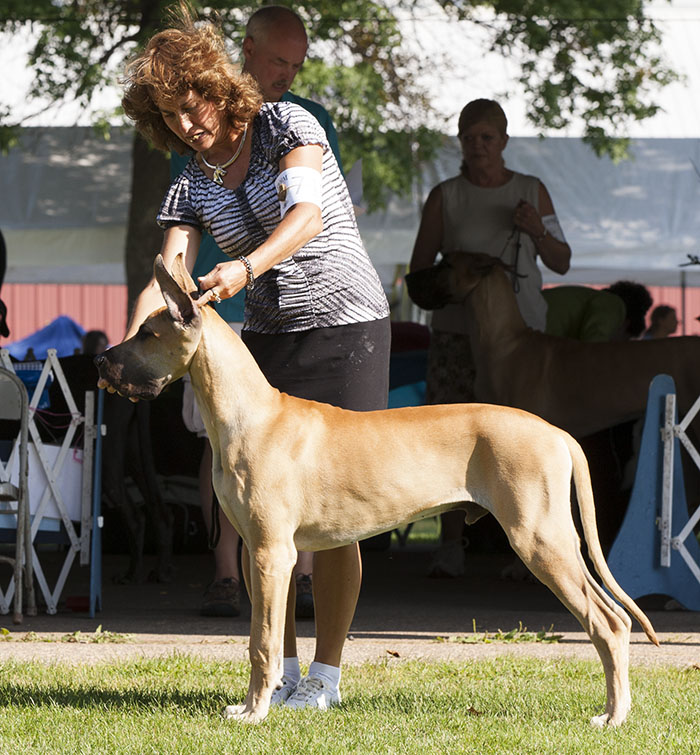 Divine Acres Travelin Man