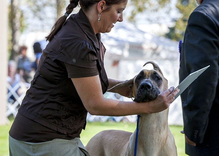 Fireside Chelsea Morning At Kohinoor