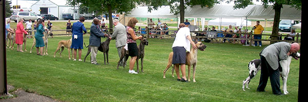 Thursday Winners Bitch Lineup