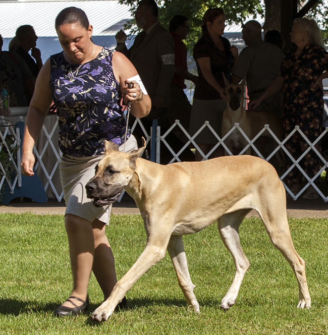 Lamona's Reflections of Baylor