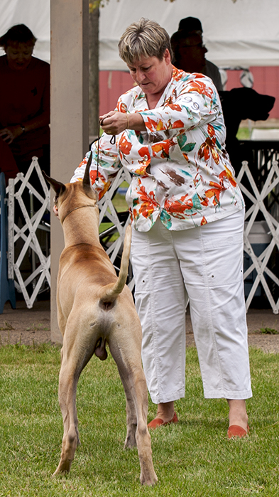 Strider N Leinenstones Navan