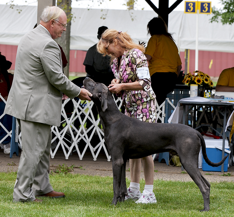 Sterling's Dewitt Our of This World v Dark Horse