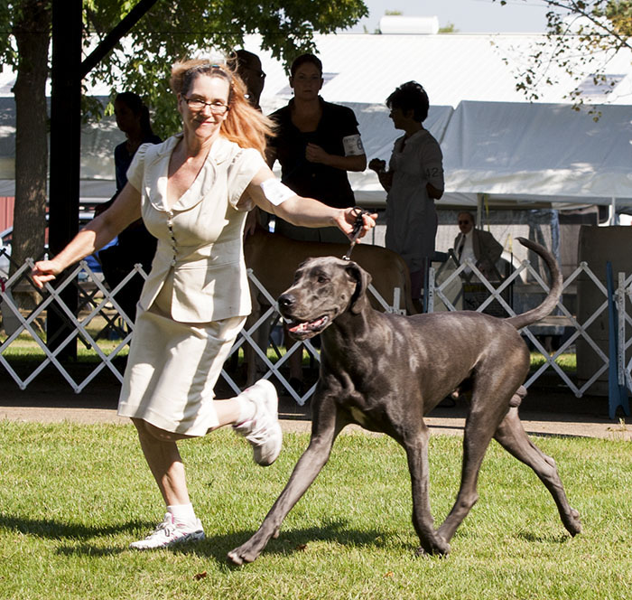 Sterling's Dewitt Out Of This World v Dark Horse