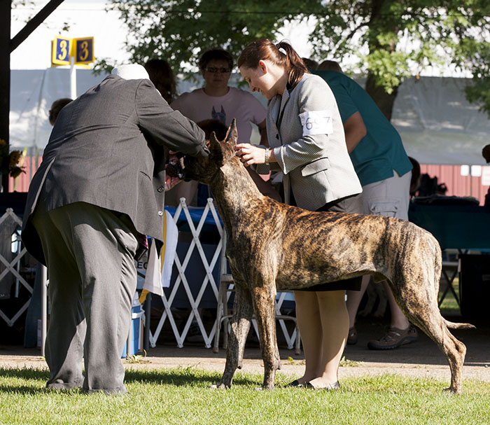 TLC's Mauck One At Dioladanes